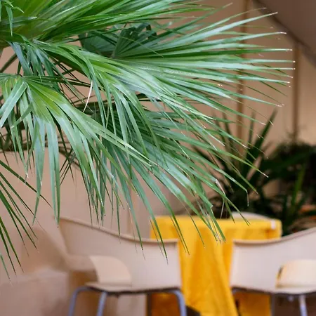 Pupa 2* ריצ'יונה